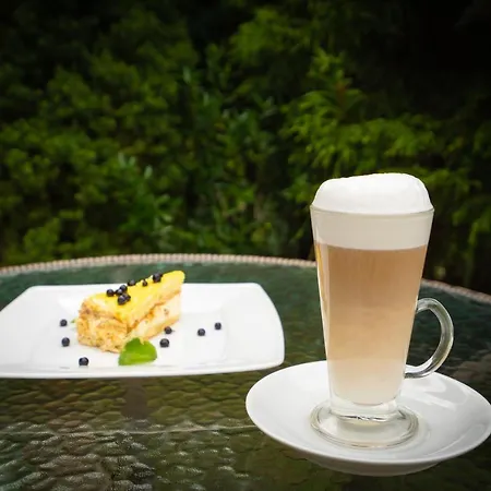 Garden Hotel Solochin