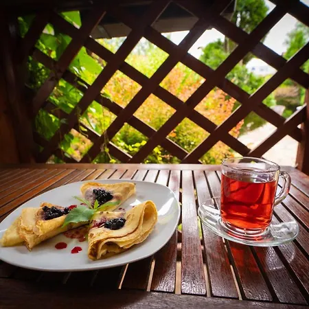 Garden Hotel Solochin