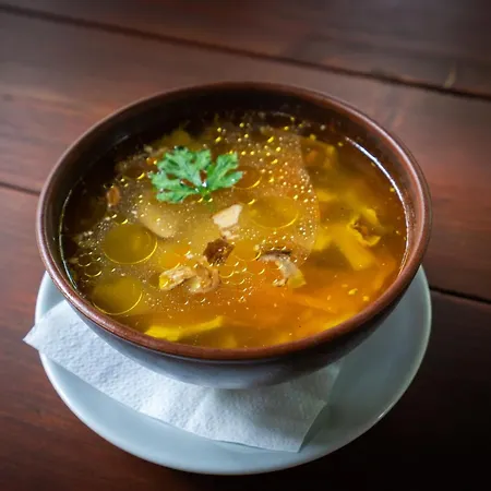 Garden Hotel Solochin